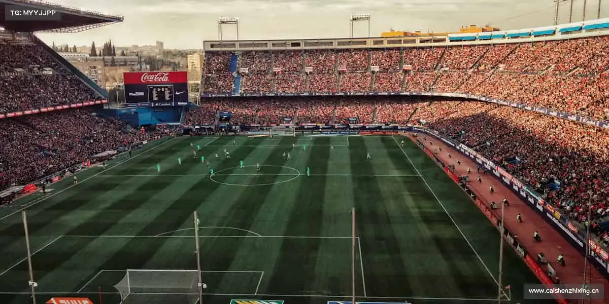 南宫NG28赛场如人生，敢拼才会赢！🏅